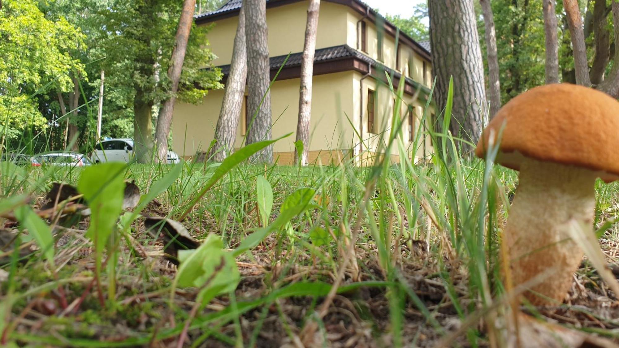 Villa Toskana Pogorzelica  Exterior photo